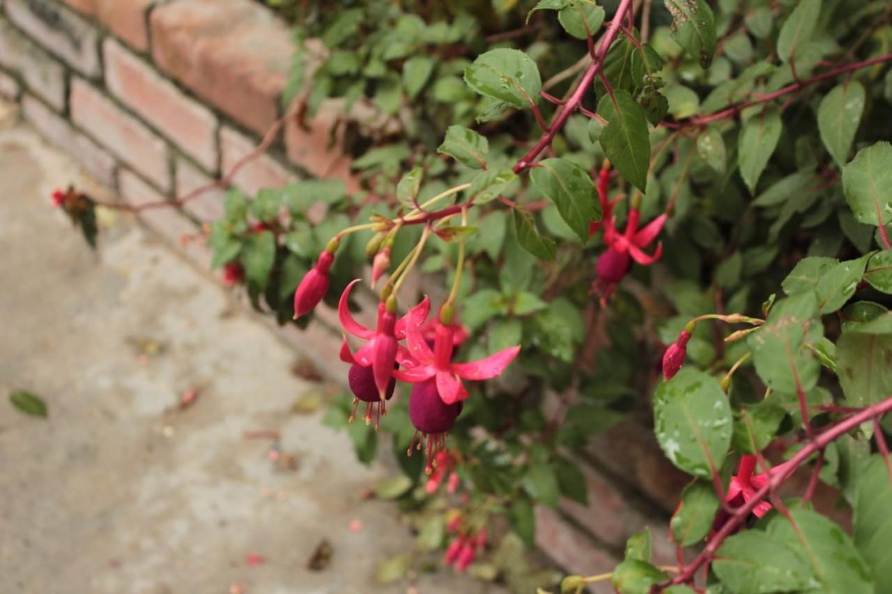 Finca Hotel El Diamante Calarcá Εξωτερικό φωτογραφία